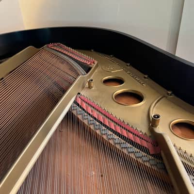 Steinway Model O Grand Piano 1906 - Ebony Satin image 4