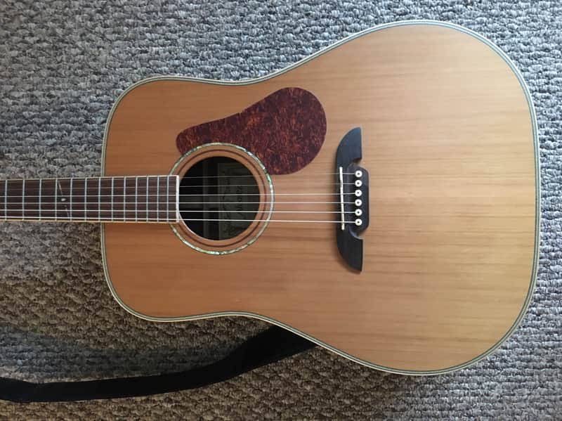 Alvarez Professional Series PD91S 2008 Natural image 1