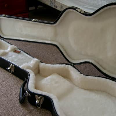Gibson Buckethead Signature/Studio Les Paul Guitar Hardshell Case image 3