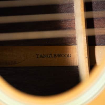 Washburn Tanglewood - Natural Rose Wood image 4