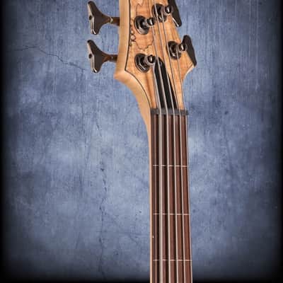 ESP LTD B205SM-FL Fretless 5 String Electric Bass Guitar Natural Satin image 4
