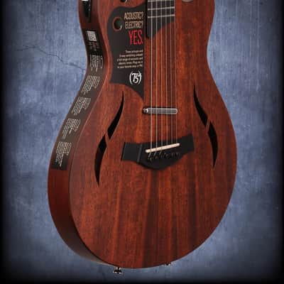Taylor T5z Classic Sapele/Mahogany image 9