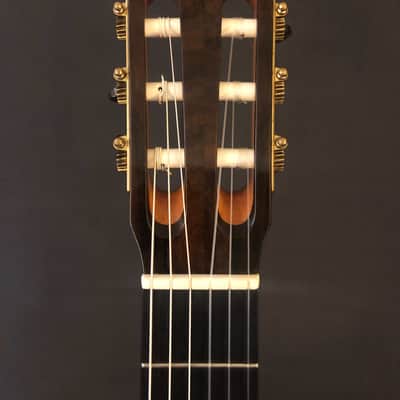 Kolya Panhuyzen Classical Guitar 2012 Cedar/Ziricote image 7