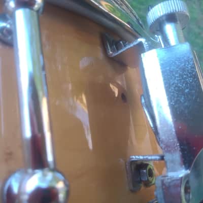 14x5.5" Ludwig Maple snare drum - Natural image 4