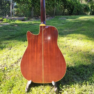Yamaha LL-5-C image 5