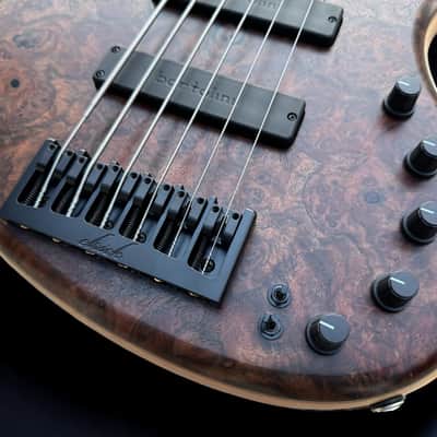 Elrick Basses Evolution Gold 6 - Burled Walnut 2024 - Satin image 5