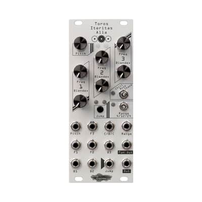 Noise Engineering Toros Iteritas Alia (Silver) [Three Wave Music] image 2