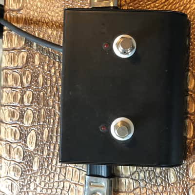 Sebago  Double Trouble DUMBLE 100 Watt Head and Cabinet 2017 Crockadile image 15