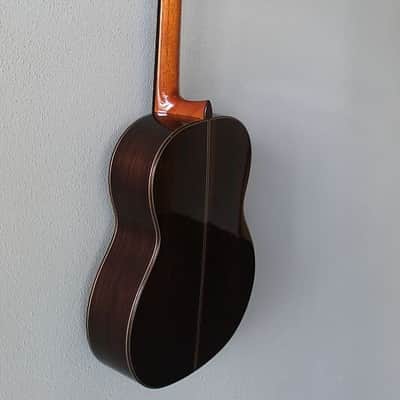 Brand New Cordoba C10 Cedar Top Classical Guitar image 8