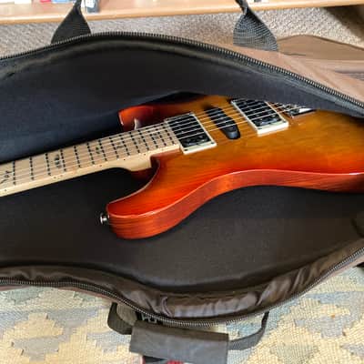 PRS SE Swamp Ash Special image 20