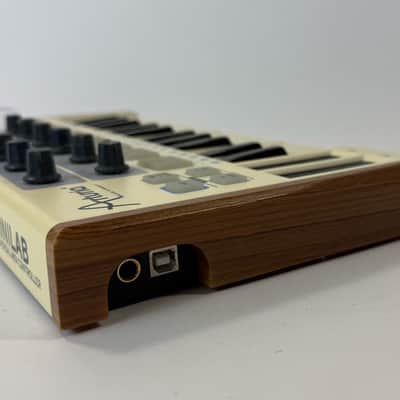 Arturia MiniLab 25-Key MIDI Controller image 2