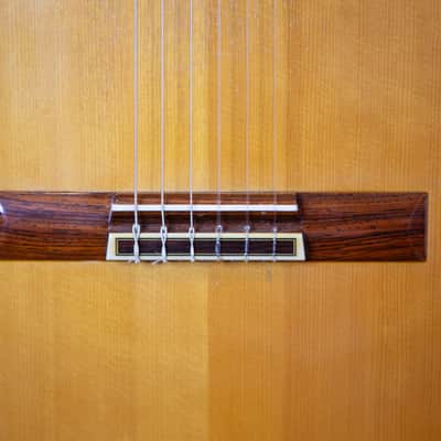 Masaru Kohno Professional R 1997 image 3