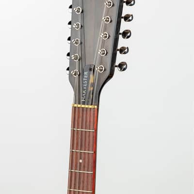 Harvester Guitars Double Cut Dozen, Recycler Series 12 String, 2022, NEW (Authorized Dealer) image 6