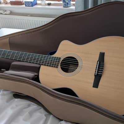Taylor 214ce-N Nylon String Electro Acoustic - natural image 9