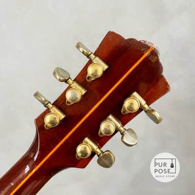 【Trial video】1972 Guild D-55 SB Westerly image 6