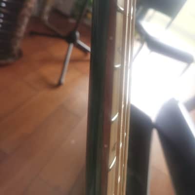 Ortega 25th Anniversary walker VIDEO
with stagg hard case image 13