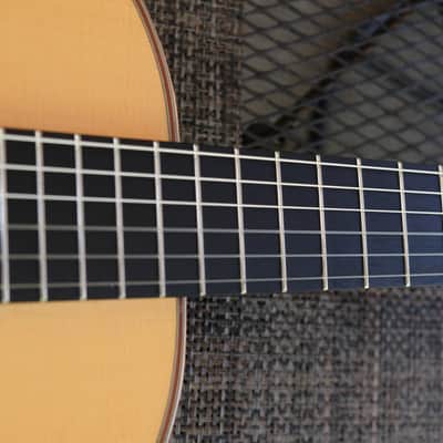 Cordoba C12 650mm Classical Guitar C12 SP/IN  Spruce/Indian Rosewood image 24