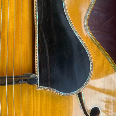 Danche Archtop Mid 90s - Nitrocellulose image 4