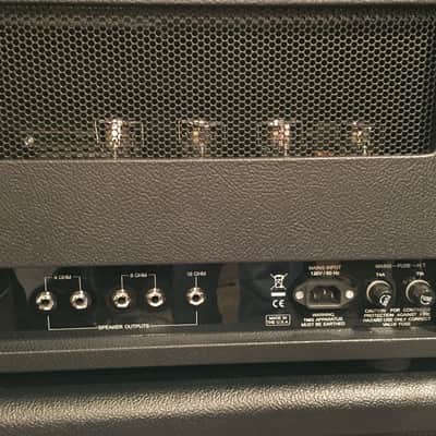 Friedman Naked 100 Watt Head w/ Saturation Switch image 4