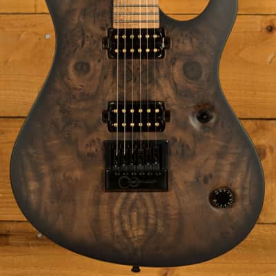 Mayones Regius 4Ever 6 - Birdseye Maple - Trans Natural Black Burst Satin image 1