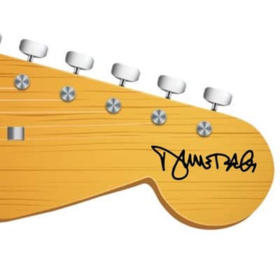 Sticker Vinyl White Autograph Dimebag Darrell Pantera Guitar Vinyl image 1