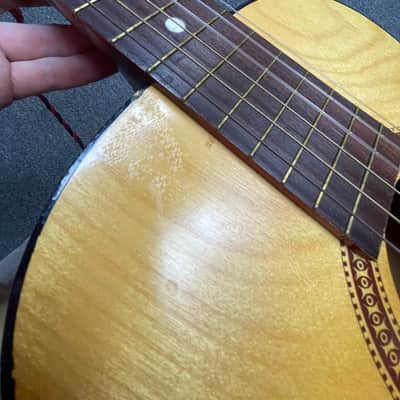 Silvertone S-69-1C  Model No. 319.12079 Made in USA w/Gig bag  - Natural image 14