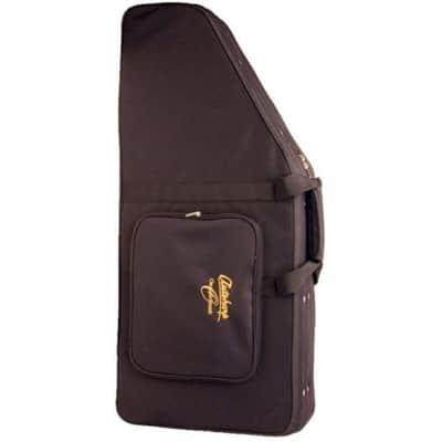 Oscar Schmidt AC448 Autoharp Case image 1