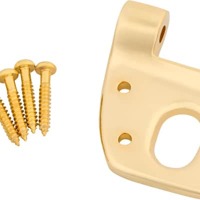 Bigsby Extra Short Hinge, w/ Hinge Pin and Screws, Gold, 180-0042-006 image 1