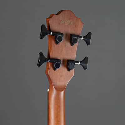 Ibanez AEGB24FE-MHS Mahogany Sunburst High Gloss - Acoustic Bass imagen 5