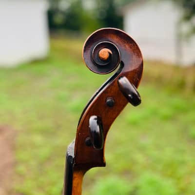Immagine Giuseppe Petrazzini Cello 1890's Italian Labeled - 9