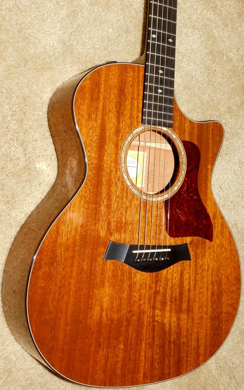 Taylor 514ce-L10 Acoustic/Electric Guitar*Fall Limited Edition