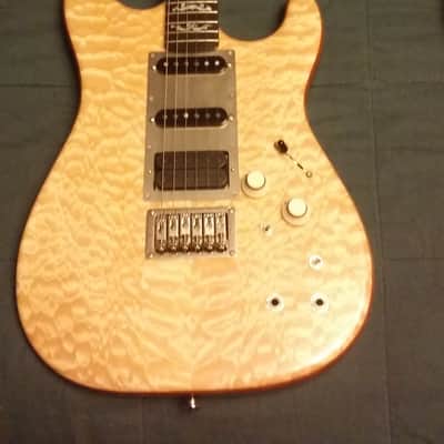 Jerry Garcia "Wolf" Inspired Custom Strat image 1