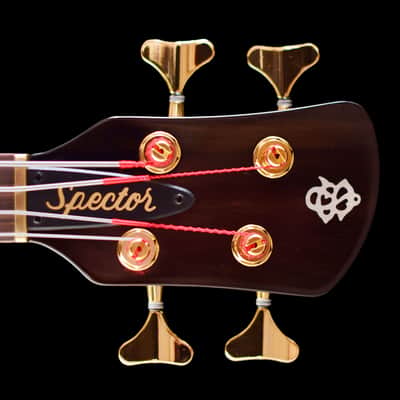 Spector USA Doug Wimbish Signature 2025 - Trans Black Stain Gloss image 7