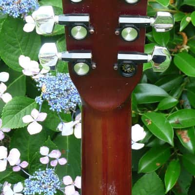 Hillbilly by Suzuki W-40 Brazilian Rosewood 1970's Natural BARGAIN image 10