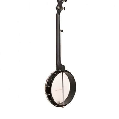 BANJO 5 Cordes GOLD TONE AC-12 - OLDTIME AC SERIE 12" + BAG imagen 6