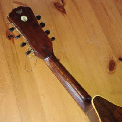 Cased George P. Matthew Mandolin 1882-1910 image 18