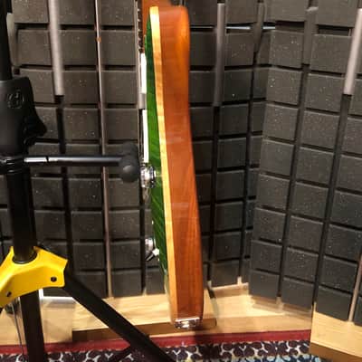 PRS Custom 24 Eriza Verde 2011 image 15