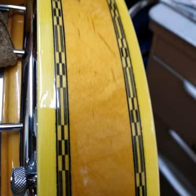 Ibanez 1975 Artist "Vine" Banjo 593FB *RARE* image 14