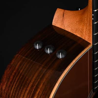 Taylor 414ce Studio Special Edition Honeyburst w/ Sitka Spruce Top & Indian Rosewood Back and Sides Acoustic/ Electric- Honey Sunburst 2026 (2202026030) image 6