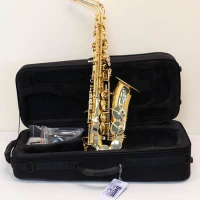 Selmer Alto Saxophone SAS711 Professional Model Lacquer Finish Used 23094427 image 1