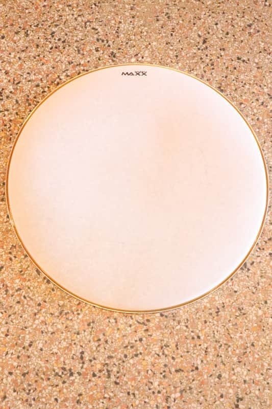 Pintech MAXX 22" Series Mesh Drum Head image 1