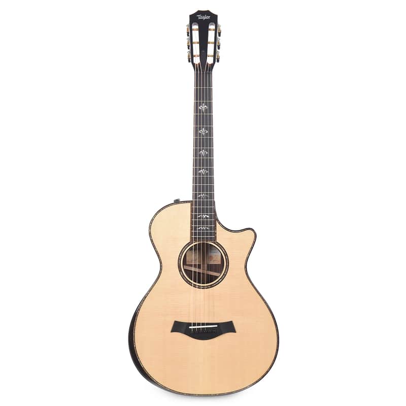 Taylor 912ce 12-Fret with V-Class Bracing image 1