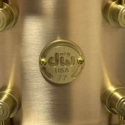 [New]#77 DW MFG True Cast Bell Bronze 7x14" Snare Drum DRVZ0714STZ image 3