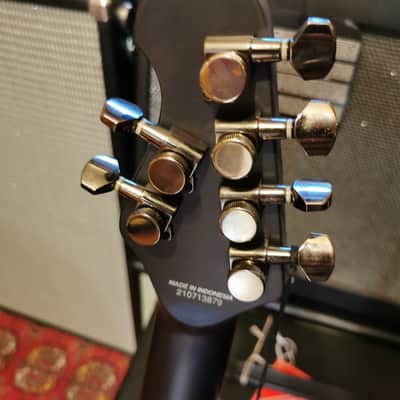 Sterling Majesty john Petrucci 2022 artic dream image 6