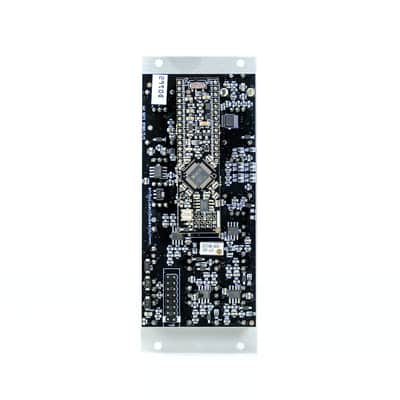 Noise Engineering Manis Iteritas (Silver) (Used) image 3