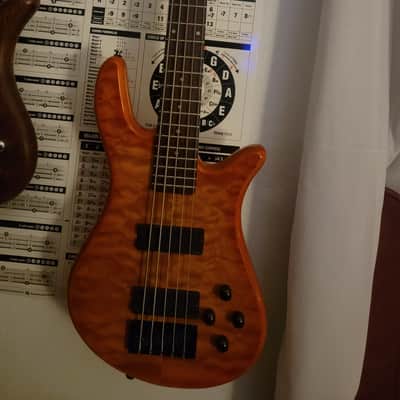 Immagine Spector Q5 Pro 5 String Emghz 35" scale
W/ tan Ibanez Power Pad (Soft Case) - 3