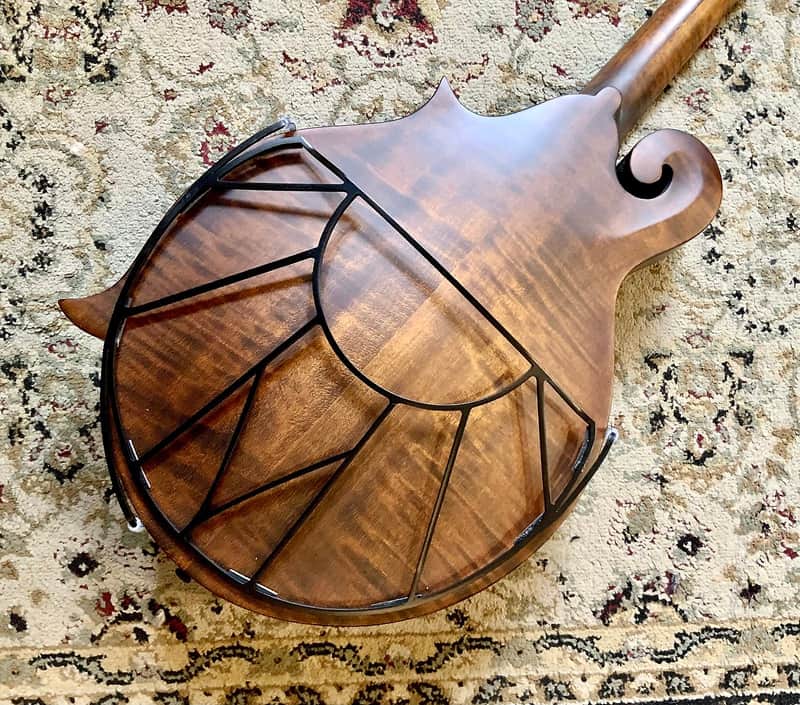 Tone-Gard for Mandola DolaGard-S image 1