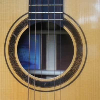 Darren Hippner #17 Ltd Dreadnought/ Bluegrass-Adirondack Spruce top/ Tasmania Jarrah image 8