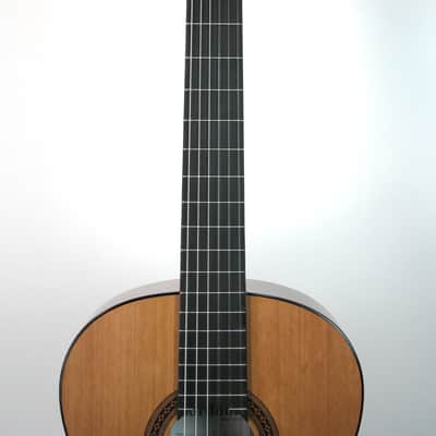 Cordoba C5 Cedar Top Nylon String image 3