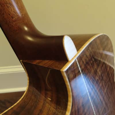 Goodall master Cedar/ AAA Claro Walnut Concert Jumbo Cutaway, with case. image 9